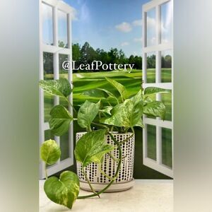 Clara Beige/Dark Gray Ceramic Planter Pot with Saucer Attached